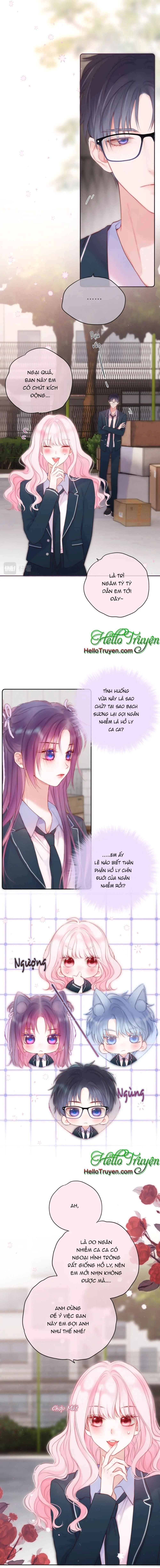 Cạm Bẫy Hồ Ly – Chap 44