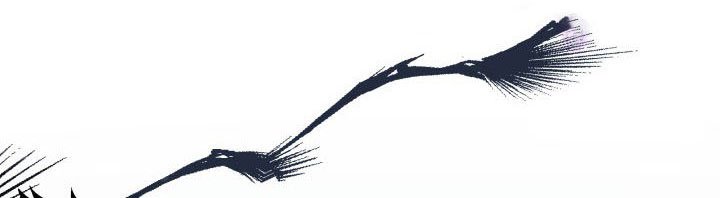 Tôi Đánh Mất Dây Xích Kiềm Chế Nam Chính Hắc Ám – Chap 40
